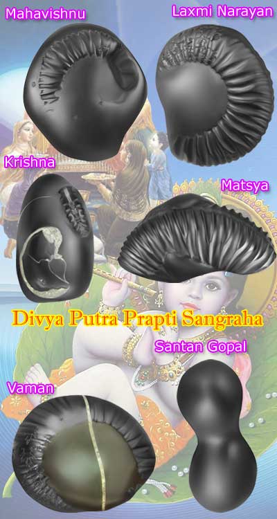 Auspicious Divya Putra Prapti Sangraha-Z009